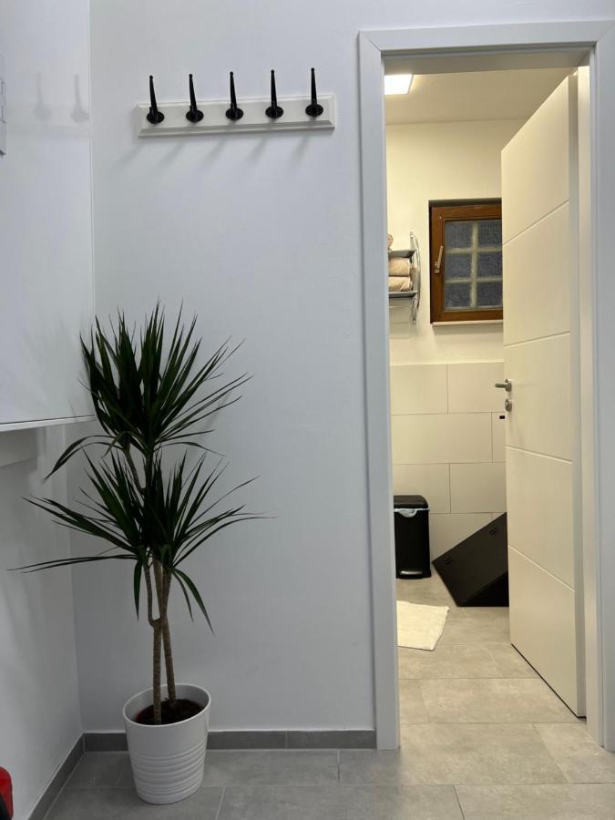 Charmantes Denkmalgeschuetztes Tiny House Am Rhein Ренс Экстерьер фото
